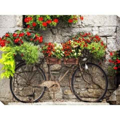 wall art decor: West of the Wind Outdoor 40"x30" Canvas Wall Art - Rusty Bicyclette