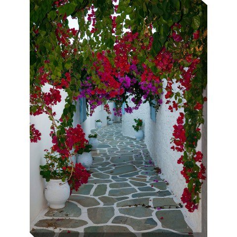 wall art decor: West of the Wind Outdoor Canvas 30”x40” Wall Art - Bougainvillea Path